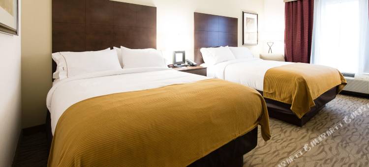 智选假日套房酒店艾肯SC(Holiday Inn Express & Suites Aiken)图片