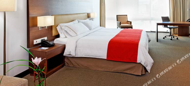 Holiday Inn Express 波哥大(Holiday Inn Express Bogota - Parque la 93)图片