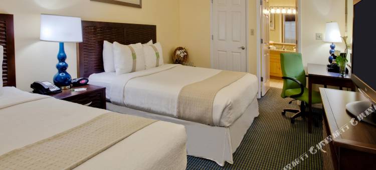 Holiday Inn & Suites 清水湾泳滩南(Holiday Inn & Suites Clearwater Beach S-Harbourside)图片