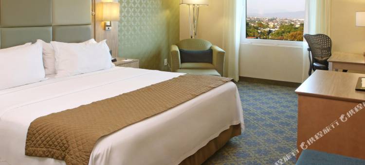 智选假日套房酒店库埃纳瓦卡(Holiday Inn Express & Suites Cuernavaca)图片