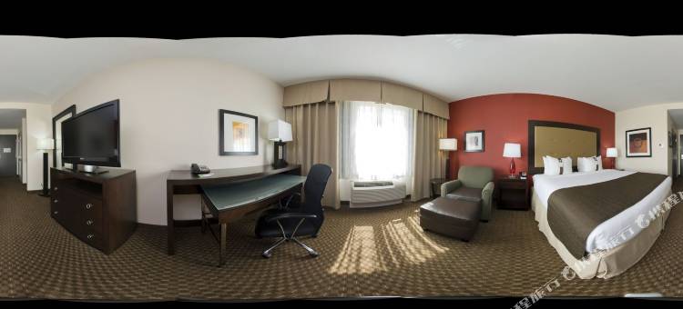 Holiday Inn 达拉斯 - 沃斯堡机场S(Holiday Inn DFW Airport South)图片