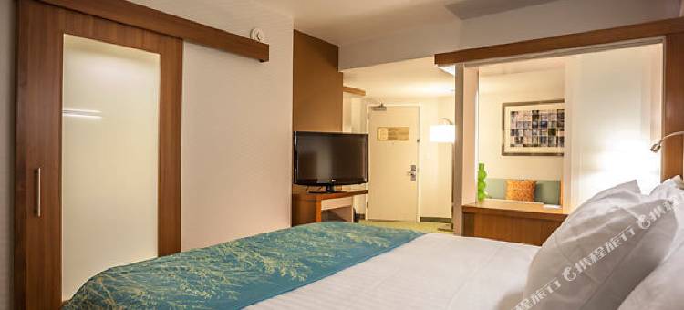 费城福吉谷/普鲁士王购物中心万豪SpringHill酒店(SpringHill Suites Philadelphia Valley Forge/King of Prussia)图片