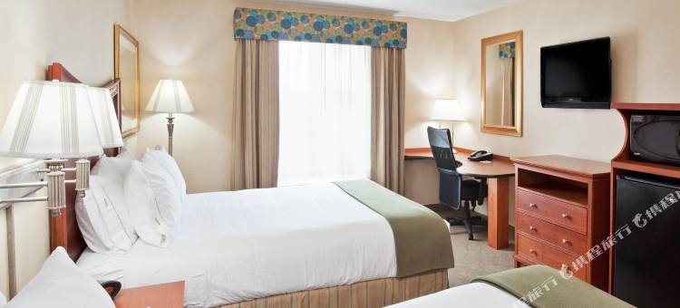 智选假日套房酒店奥本希尔斯(Holiday Inn Express & Suites Auburn Hills)图片