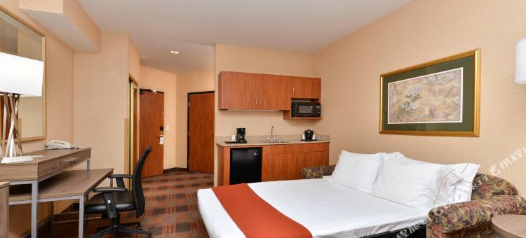 中央埃尔克格罗夫智选假日酒店及套房 - 99号公路 by IHG(Holiday Inn Express & Suites Elk Grove Central - Hwy 99)图片