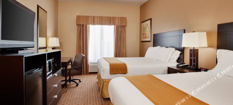 智选假日套房酒店休斯顿 - 阿尔文(Holiday Inn Express & Suites Houston-Alvin)图片
