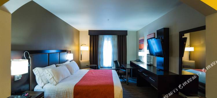 智选假日套房酒店罗金厄姆(Holiday Inn Express & Suites Rockingham)图片