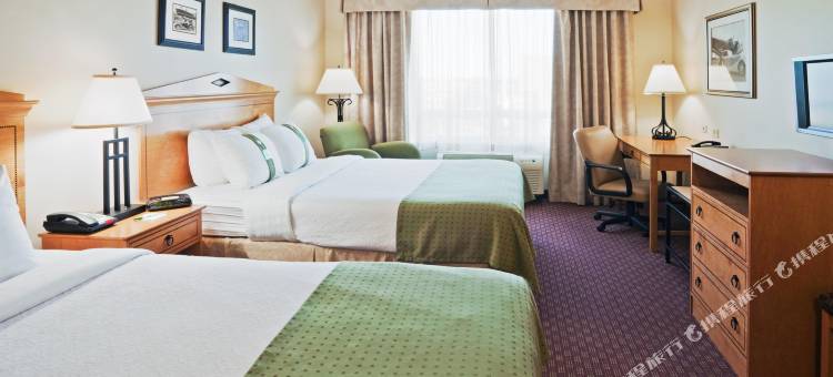 Holiday Inn 桑蒂(Holiday Inn Santee)图片