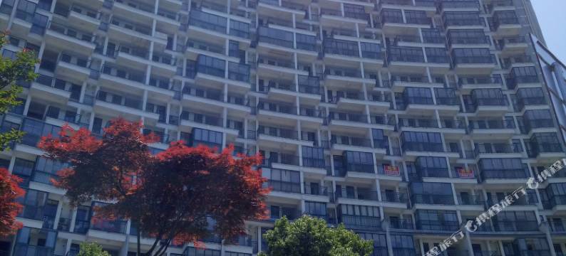 黄山太平湖土菜馆图片