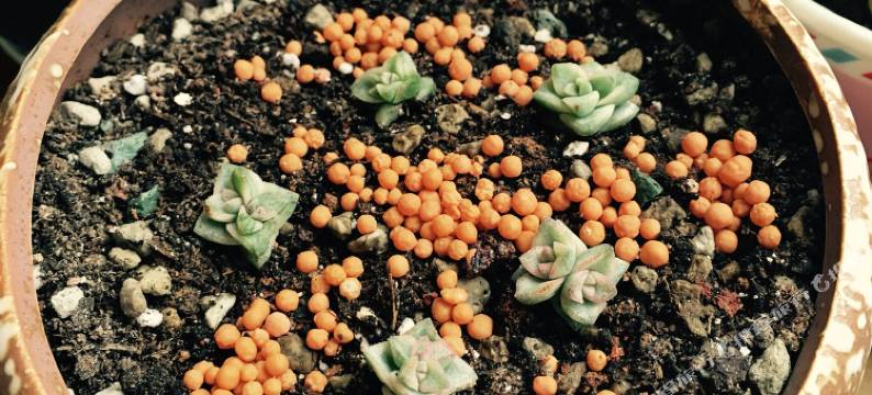 朱家尖乌石塘屿浔民宿图片