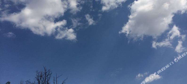 昆明廊美青年酒店图片