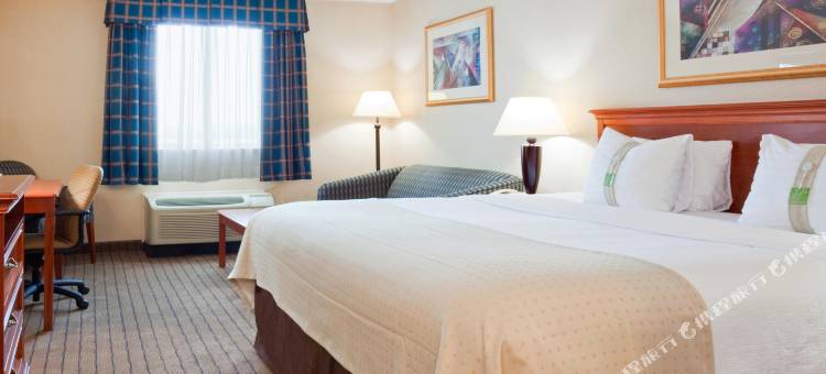 Holiday Inn 亚历山德里亚(Holiday Inn Alexandria)图片