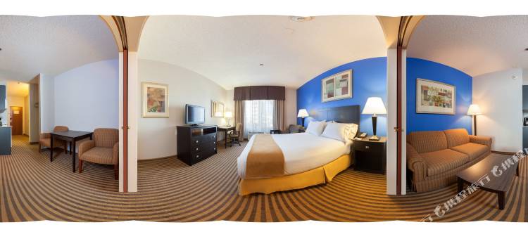 智选假日套房酒店卡拉马祖(Kalamazoo Hotel and Suites)图片