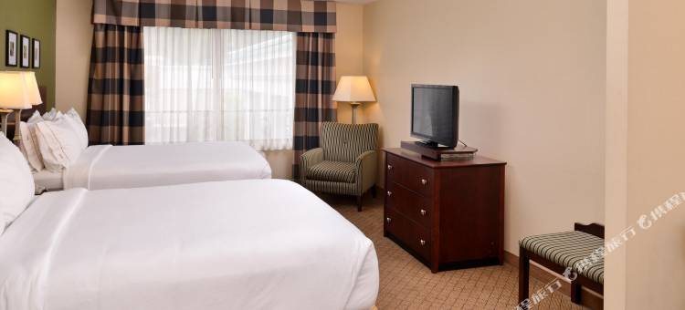 智选假日套房酒店阿森斯(Holiday Inn Express & Suites Athens)图片