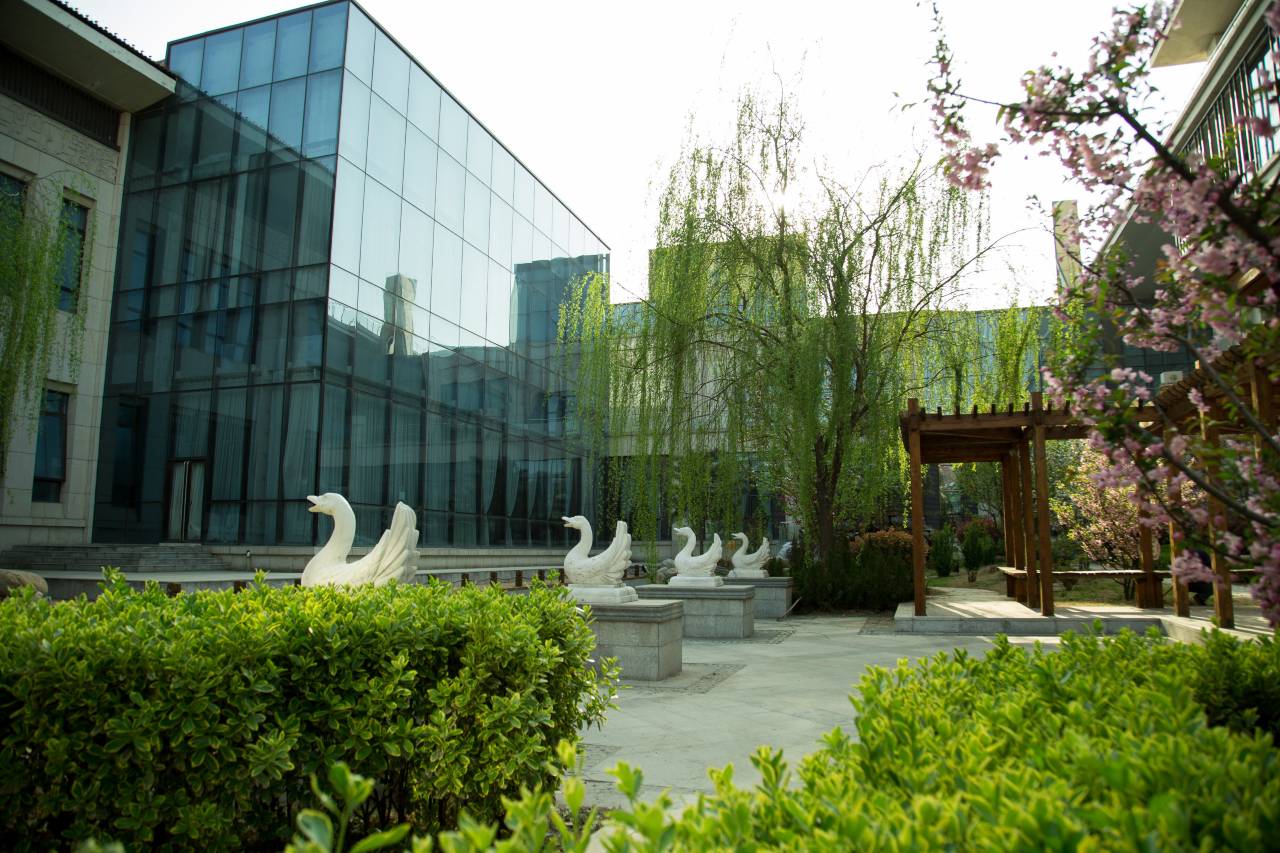 三门峡天鹅湖国际大酒店(天鹅湖湿地公园店)图片
