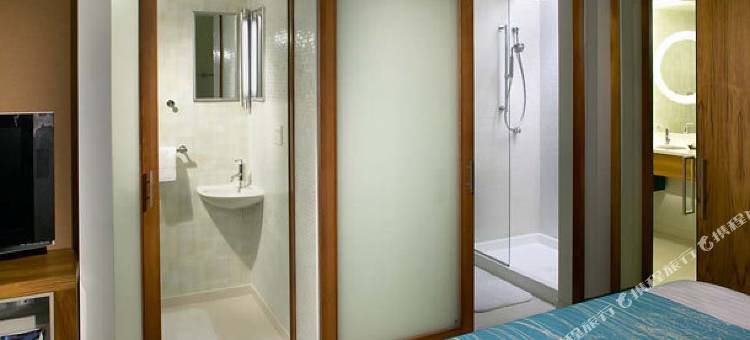 阿什本杜勒斯北SpringHill套房酒店(SpringHill Suites Ashburn Dulles North)图片