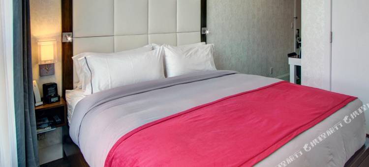 布鲁克林英迪格酒店(Hotel Indigo Brooklyn)图片