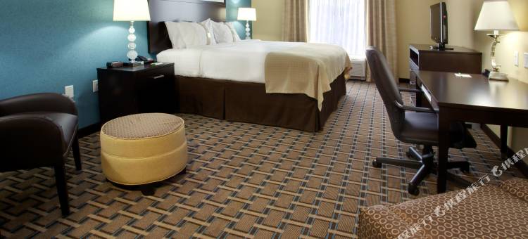 Holiday Inn 休斯敦韦伯斯特(Holiday Inn Houston-Webster)图片