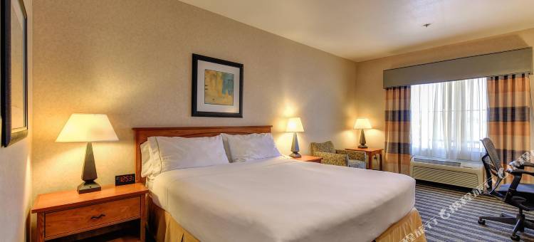 智选假日套房酒店曼特卡南 - 斯托克顿区(Holiday Inn Express & Suites Manteca City Center)图片