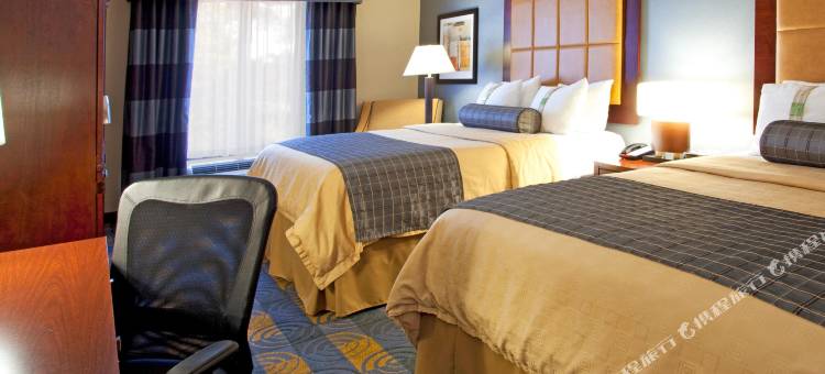 斯托布里奇亚特兰大75号州际公路假日酒店(Holiday Inn & Suites Stockbridge/Atlanta I-75)图片