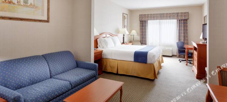 智选假日套房酒店罗切斯特VICTOR(Holiday Inn Express & Suites Rochester-Victor)图片