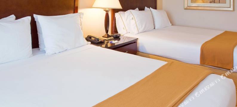 智选假日套房酒店塞金(Holiday Inn Express & Suites SEGUIN by IHG)图片