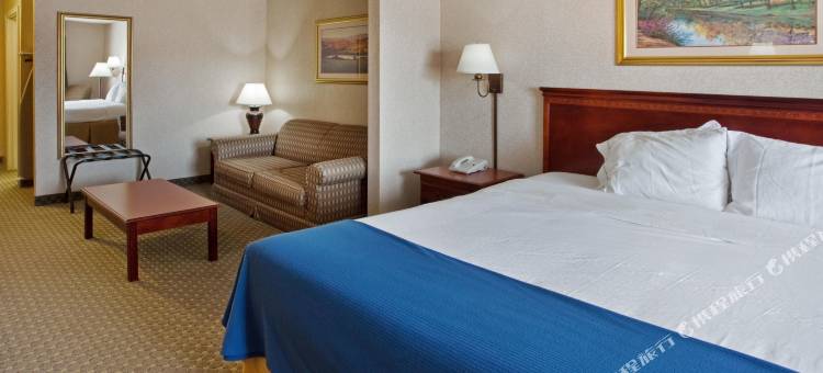 智选假日套房酒店托马斯维尔(Holiday Inn Express & Suites Thomasville)图片