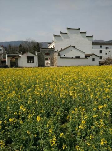 泾县田原之家客栈