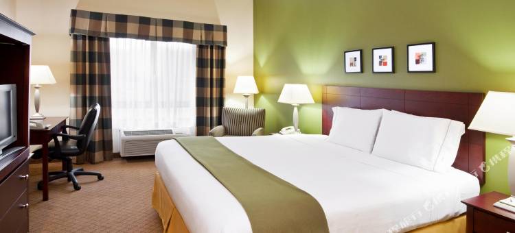 智选假日套房酒店阿森斯(Holiday Inn Express & Suites Athens)图片