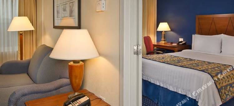 尚迪利杜勒斯南部Residence Inn 酒店(Residence Inn Chantilly Dulles South)图片