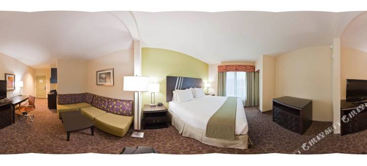 智选假日套房酒店克莱门森- 大学区(Holiday Inn Express & Suites Clemson - Univ Area)图片