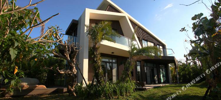 屏东白砂15图片