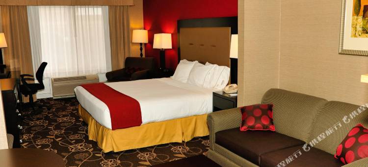 智选假日套房酒店爱达荷福尔斯(Holiday Inn Express & Suites Idaho Falls)图片