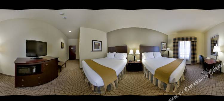 智选假日套房酒店圣安东尼奥NW -医疗区(Holiday Inn Express & Suites San Antonio NW-Medical Area)图片