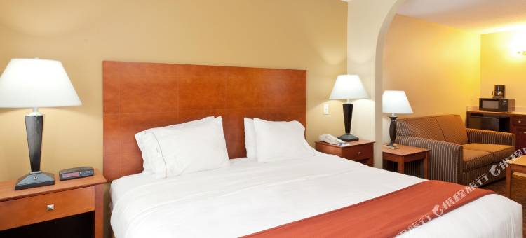 特鲁斯维尔智选假日酒店(Holiday Inn Express & Suites Birmingham NE - Trussville)图片