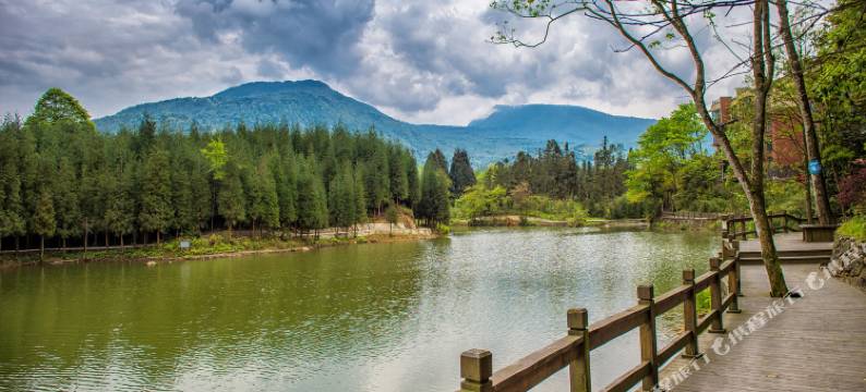 峨眉山云境别院(金竹林度假区店)图片