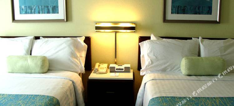 奥斯汀圆石城万豪 SpringHill Suites 酒店(SpringHill Suites Austin Round Rock)图片