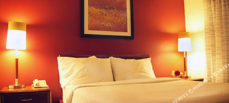 汉诺威黎巴嫩Residence Inn 酒店(Residence Inn Hanover Lebanon)图片