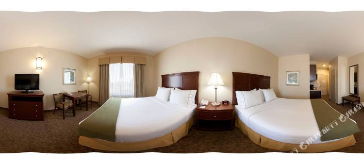 智选假日套房酒店雪松山(Holiday Inn Express & Suites Dallas Southwest-Cedar Hill)图片