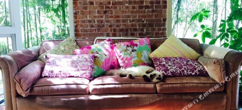 南投日月潭秘密花园民宿图片