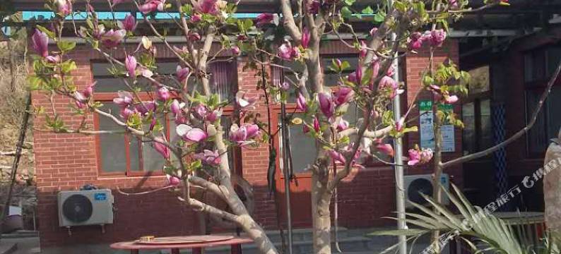 天津天然部落农家院图片