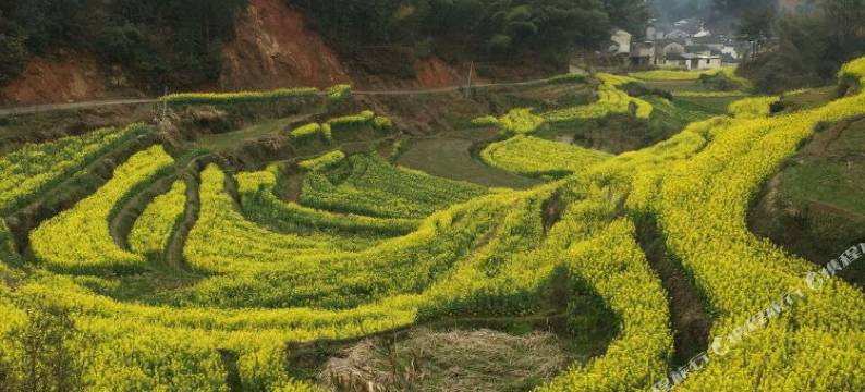 黄山秋霞农家乐图片
