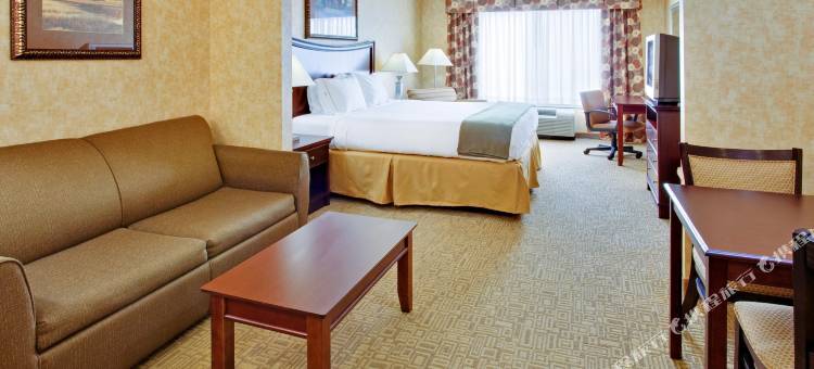 智选假日套房酒店伯利恒ARPT -亚兰敦区(Holiday Inn Express & Suites Bethlehem Arpt-Allentown Area)图片