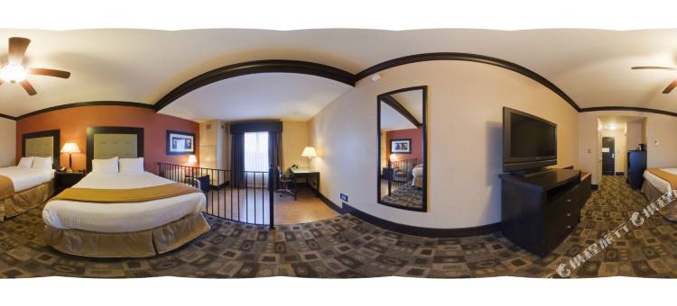 智选假日套房酒店哥伦比亚杰克逊堡(Holiday Inn Express & Suites Columbia-Fort Jackson)图片