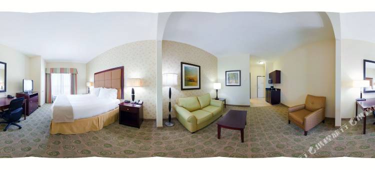 智选假日套房酒店达拉斯东(Holiday Inn Express & Suites Dallas East - Fair Park)图片