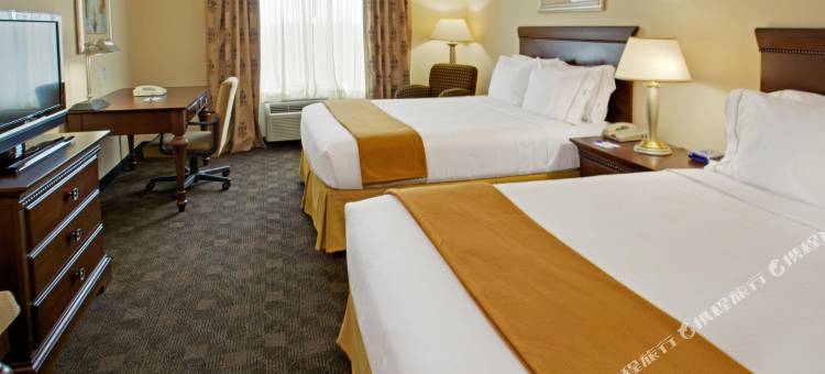智选假日套房酒店皮尔兰(Holiday Inn Express & Suites Pearland)图片
