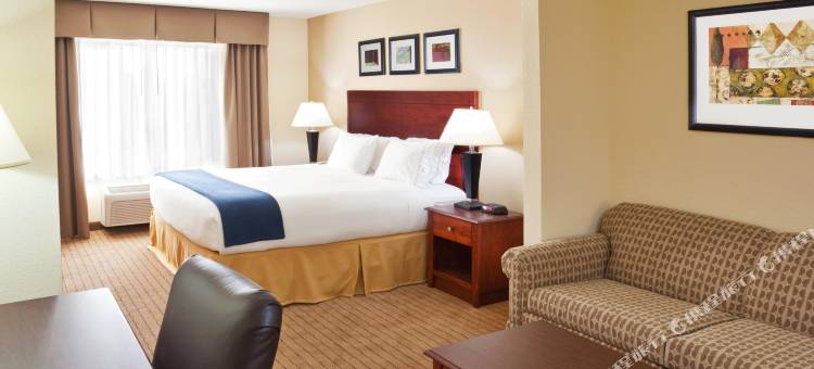 智选假日套房酒店东兰辛(Holiday Inn Express & Suites East Lansing)图片