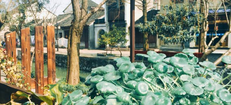 猫小院民宿(南浔古镇景区店)图片