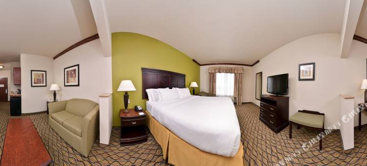 智选假日套房酒店谢尔曼HWY 75(Holiday Inn Express & Suites Sherman Hwy 75)图片