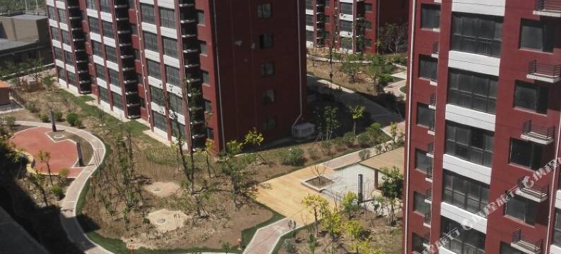 乐亭三岛月坨岛海景公寓图片