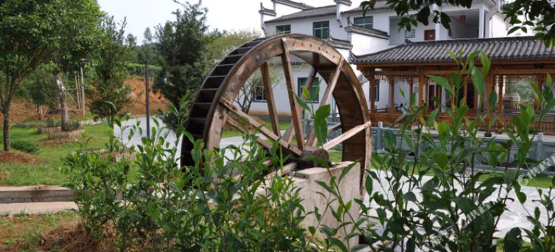 婺源林生茶庄图片